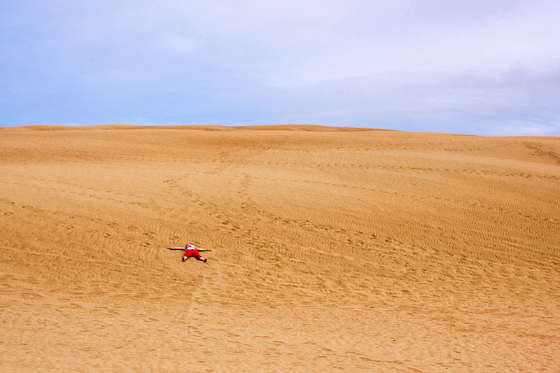 Ninety Mile Beach Dunes