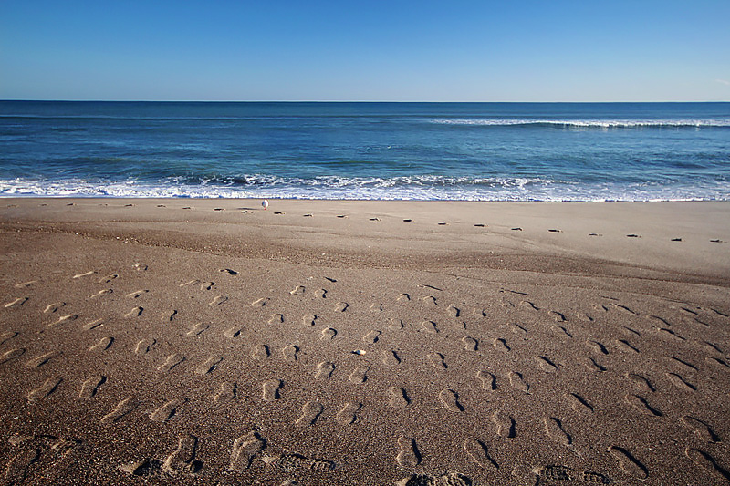 IMG_0810pores-loading